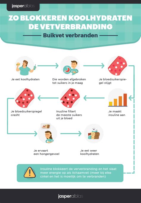 buikvet verbranden eetschema|Snel Afvallen Buik: 11 Geheimen van Buikvet。